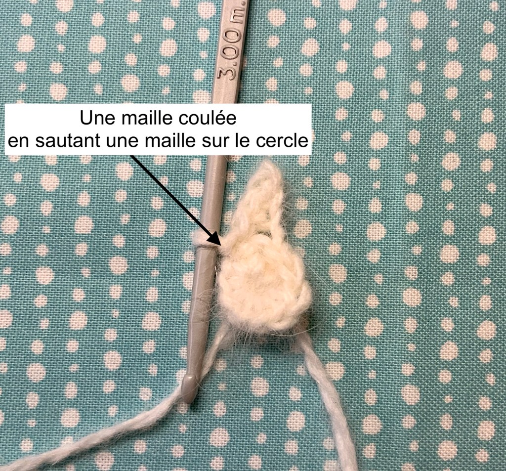 1ère branche