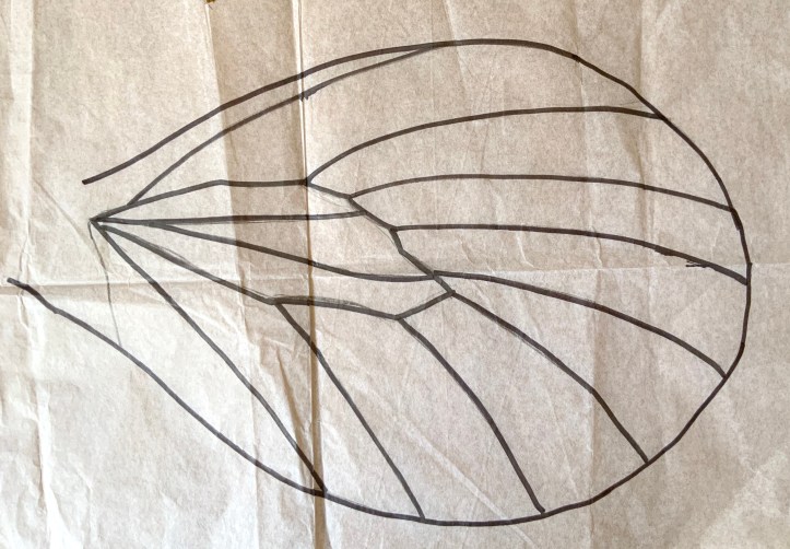 Nervures sur une aile