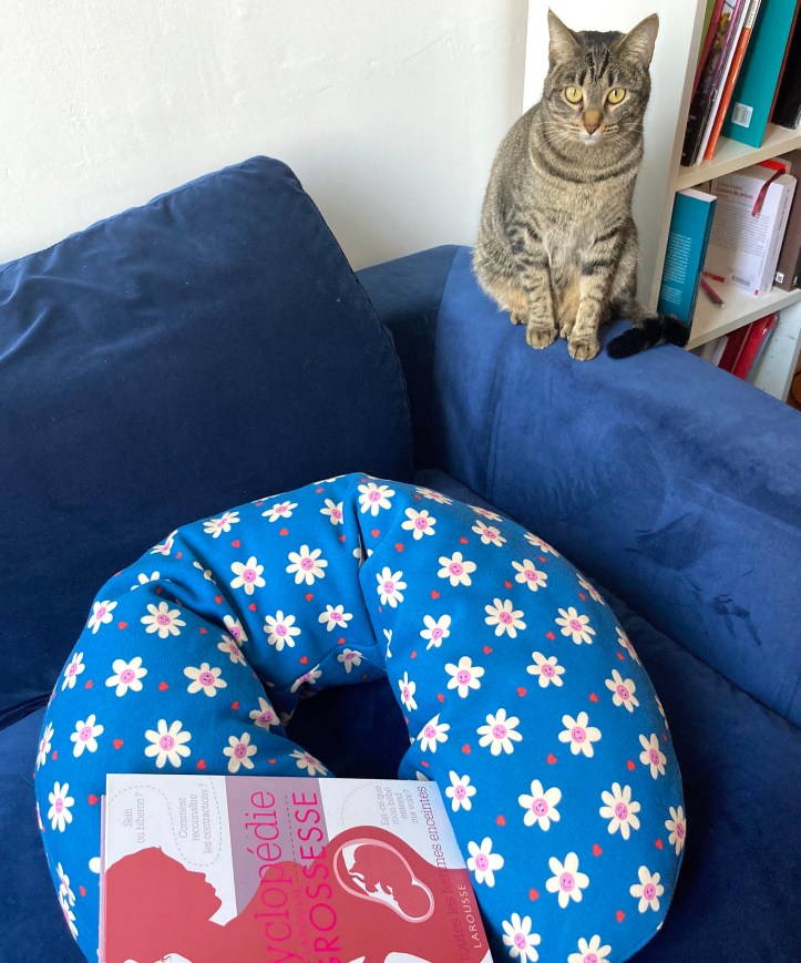 Un coussin convoité !