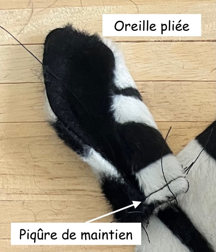 Oreille pliée