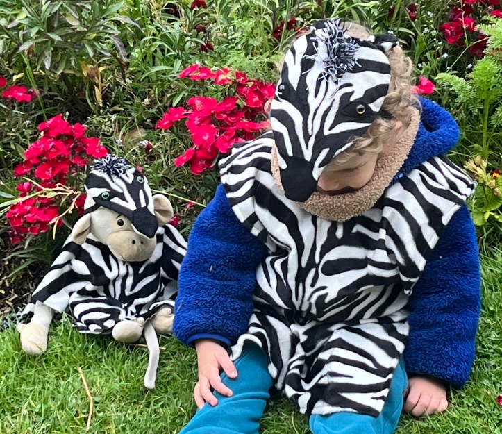 Un petit zèbre et son doudou Popi
